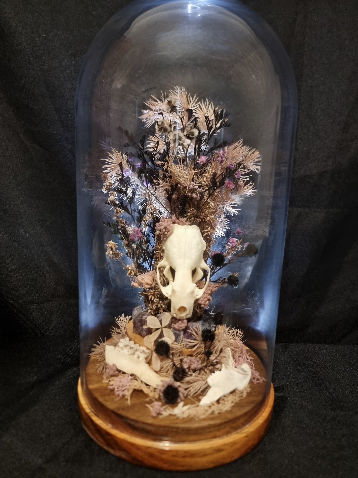 Totemic Tripartite - Mink Skull Amethyst Dome