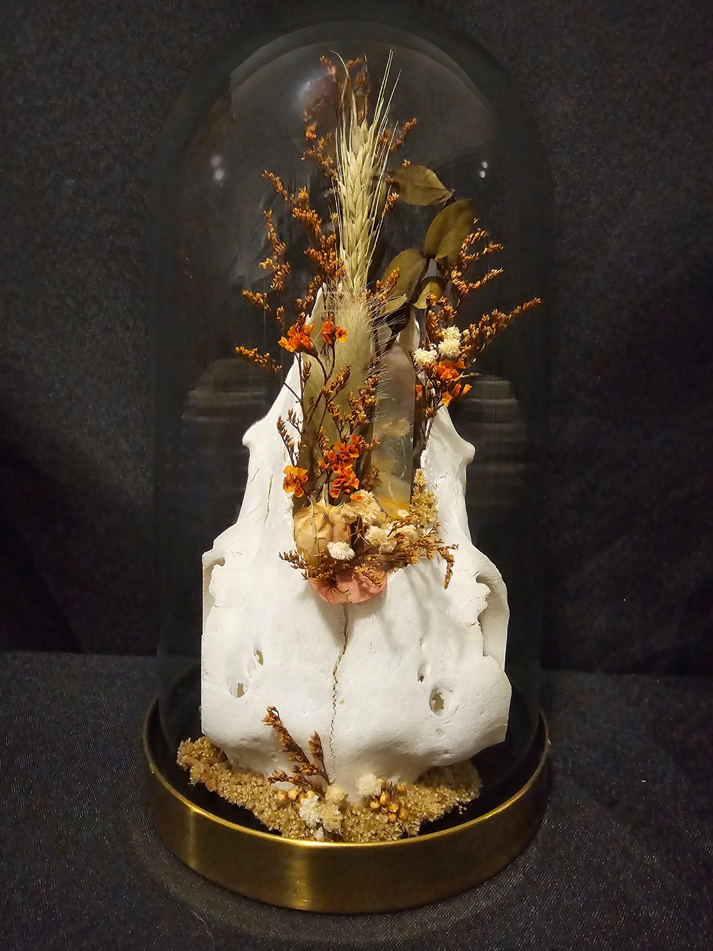 Sheep Mookaite Terrarium