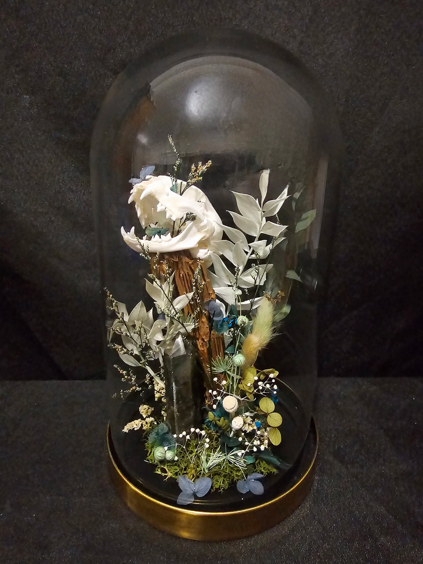 Cat Labradorite Green/Blue Terrarium