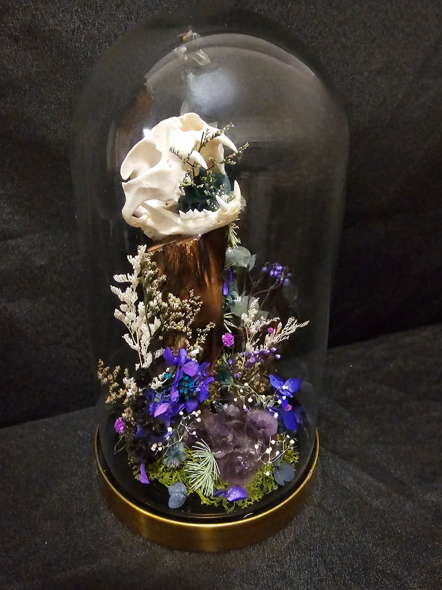 Cat Amethyst Terrarium