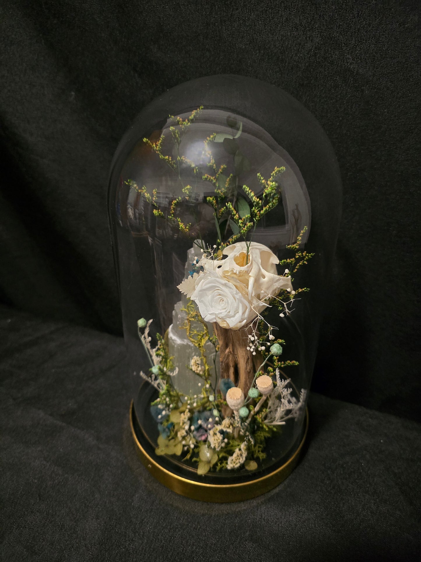 Cat Selenite Terrarium