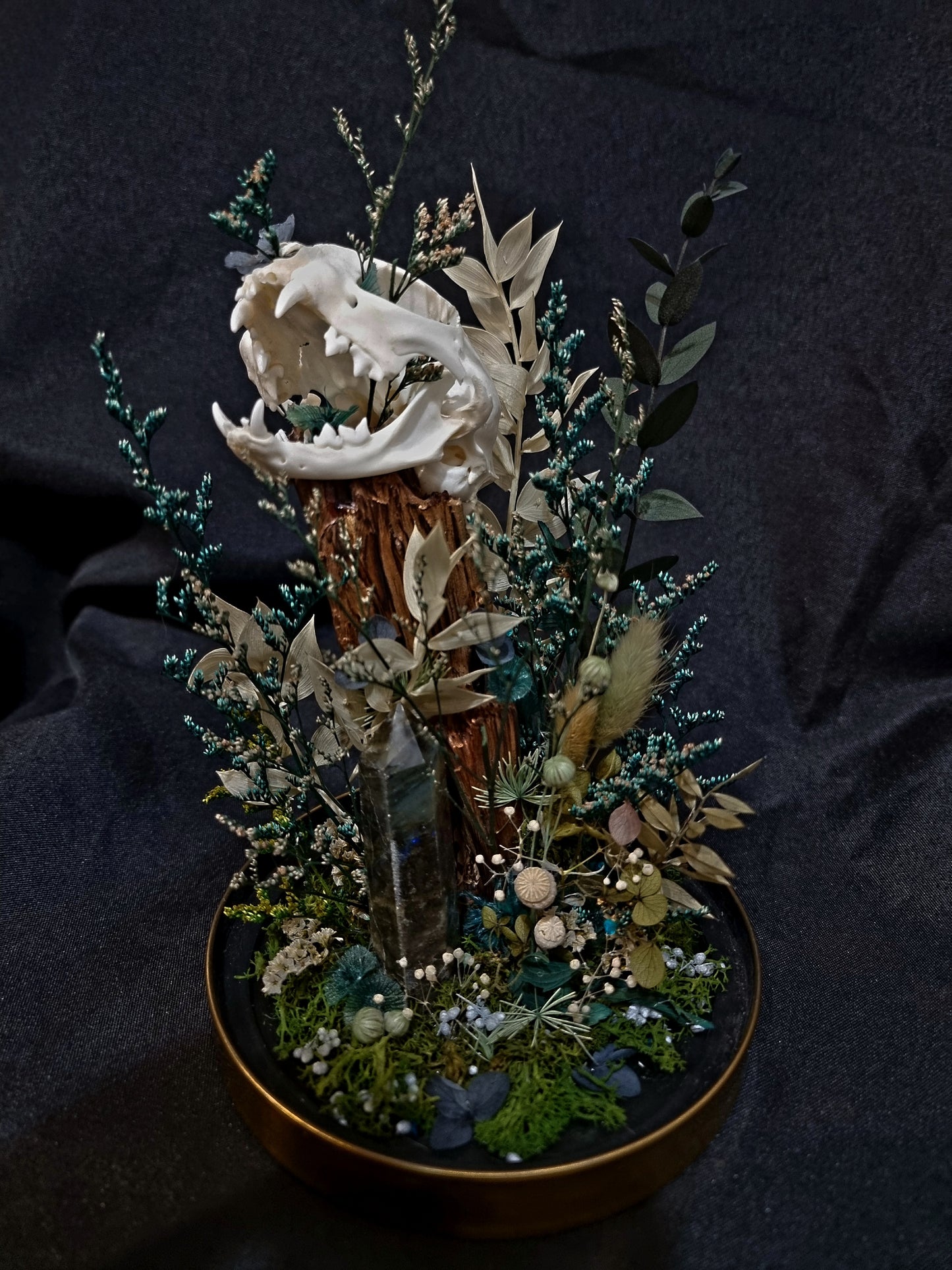 Cat Labradorite Green/Blue Terrarium
