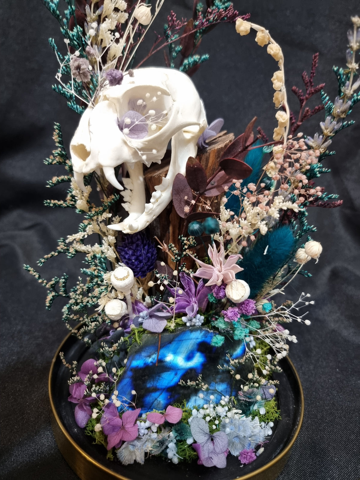 Cat Labradorite Terrarium