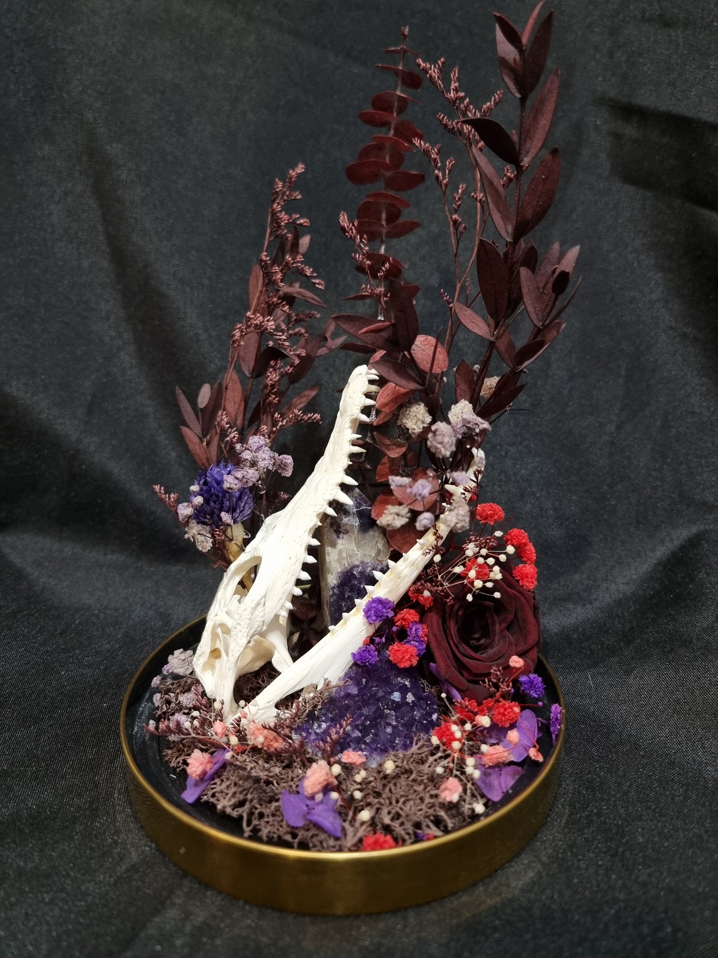 Croc Amethyst Terrarium