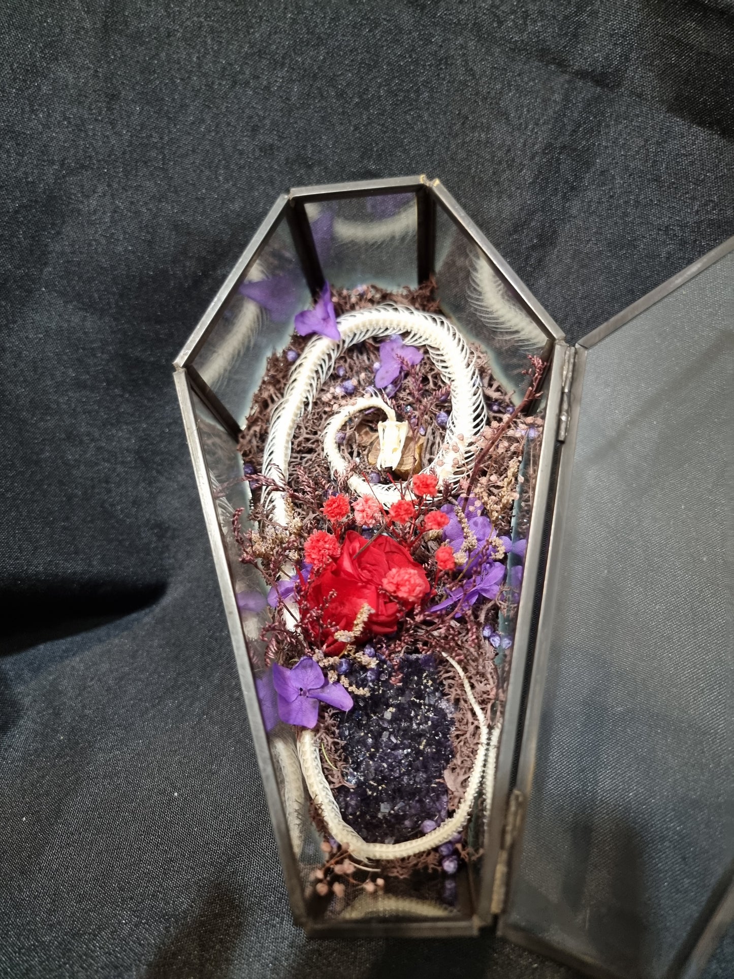 Snake Amethyst Coffin Terrarium