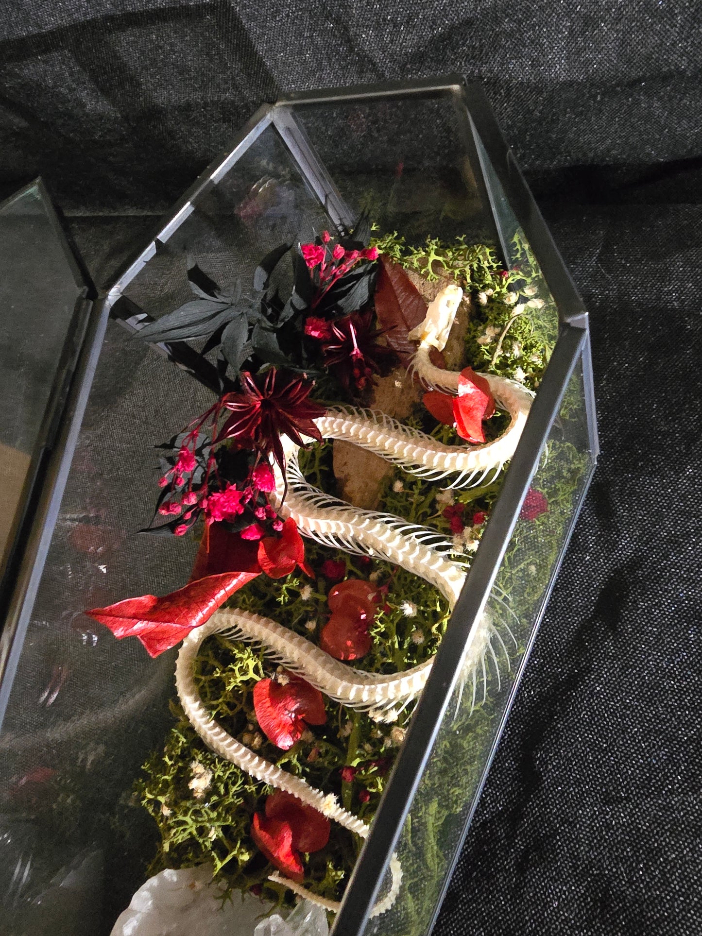 Rose's Rest - Snake Quartz Coffin