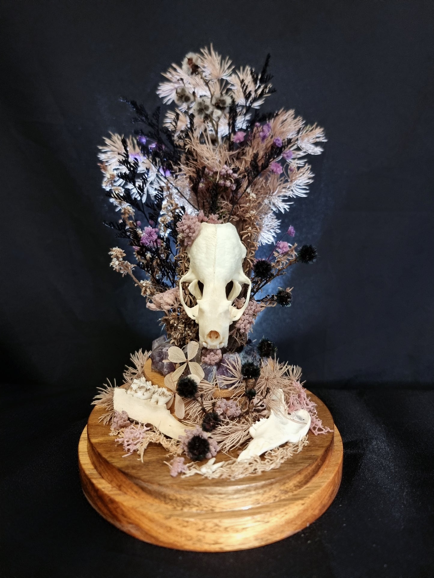 Totemic Tripartite - Mink Skull Amethyst Dome