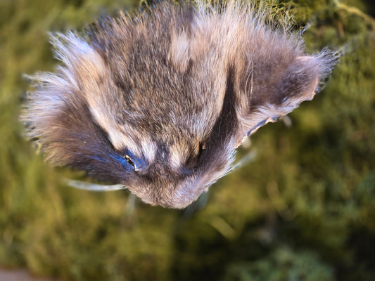 Raccoon face fur
