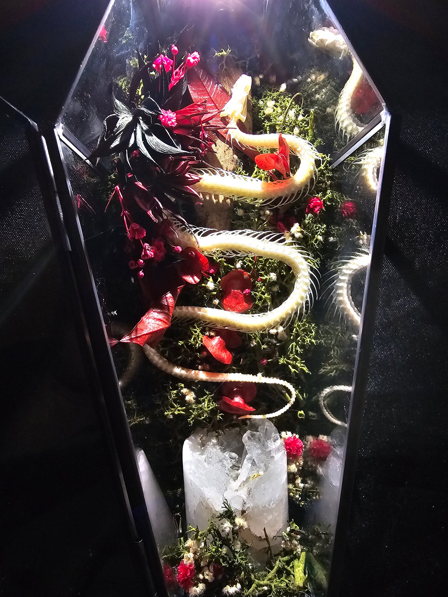 Rose's Rest - Snake Quartz Coffin