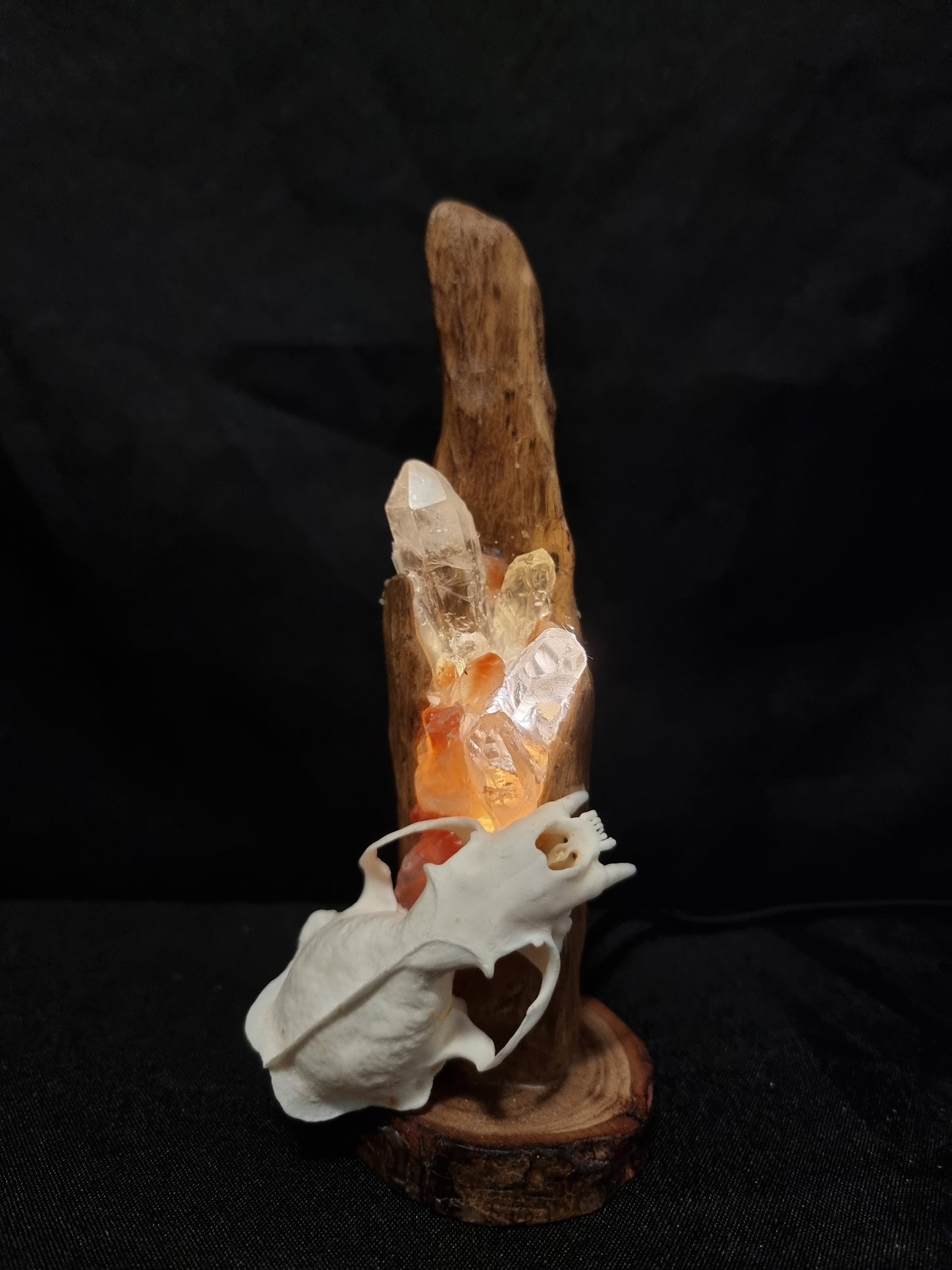 Mink Skull Fire Crystal Lamp