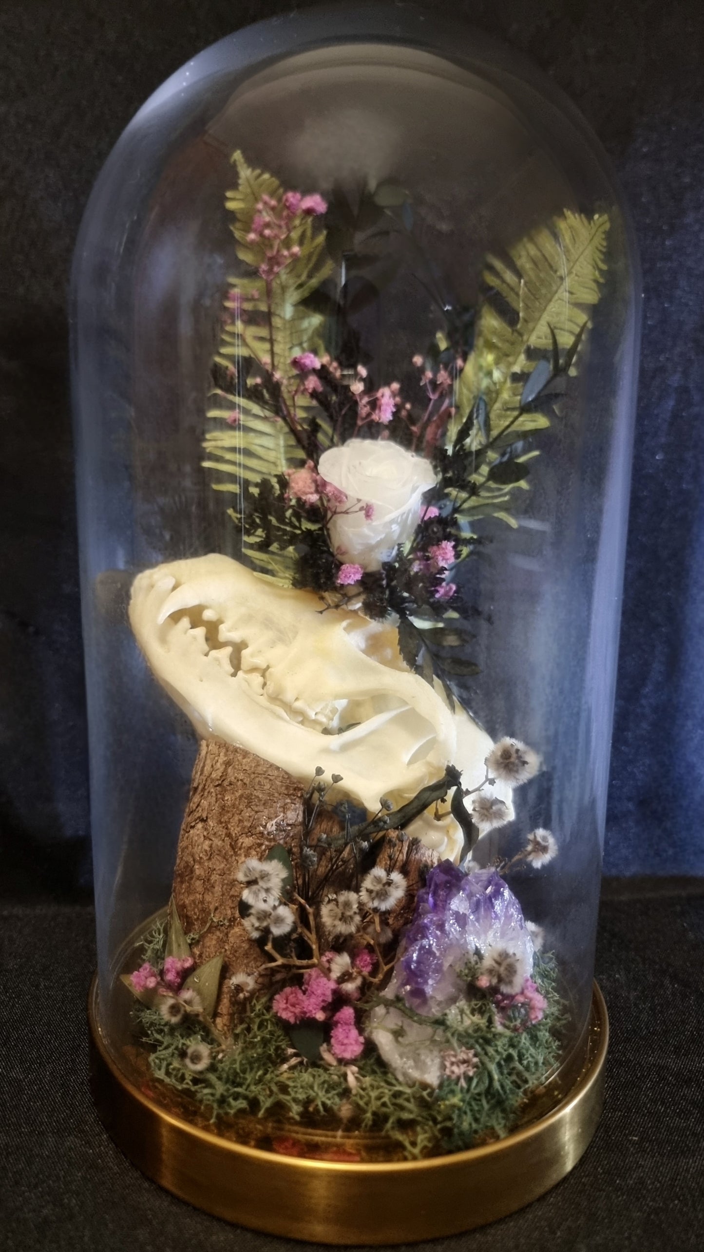 Fox Skull Amethyst Dome