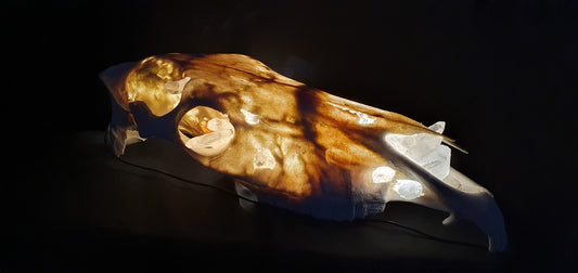 Warm Quartz Horse Lamp