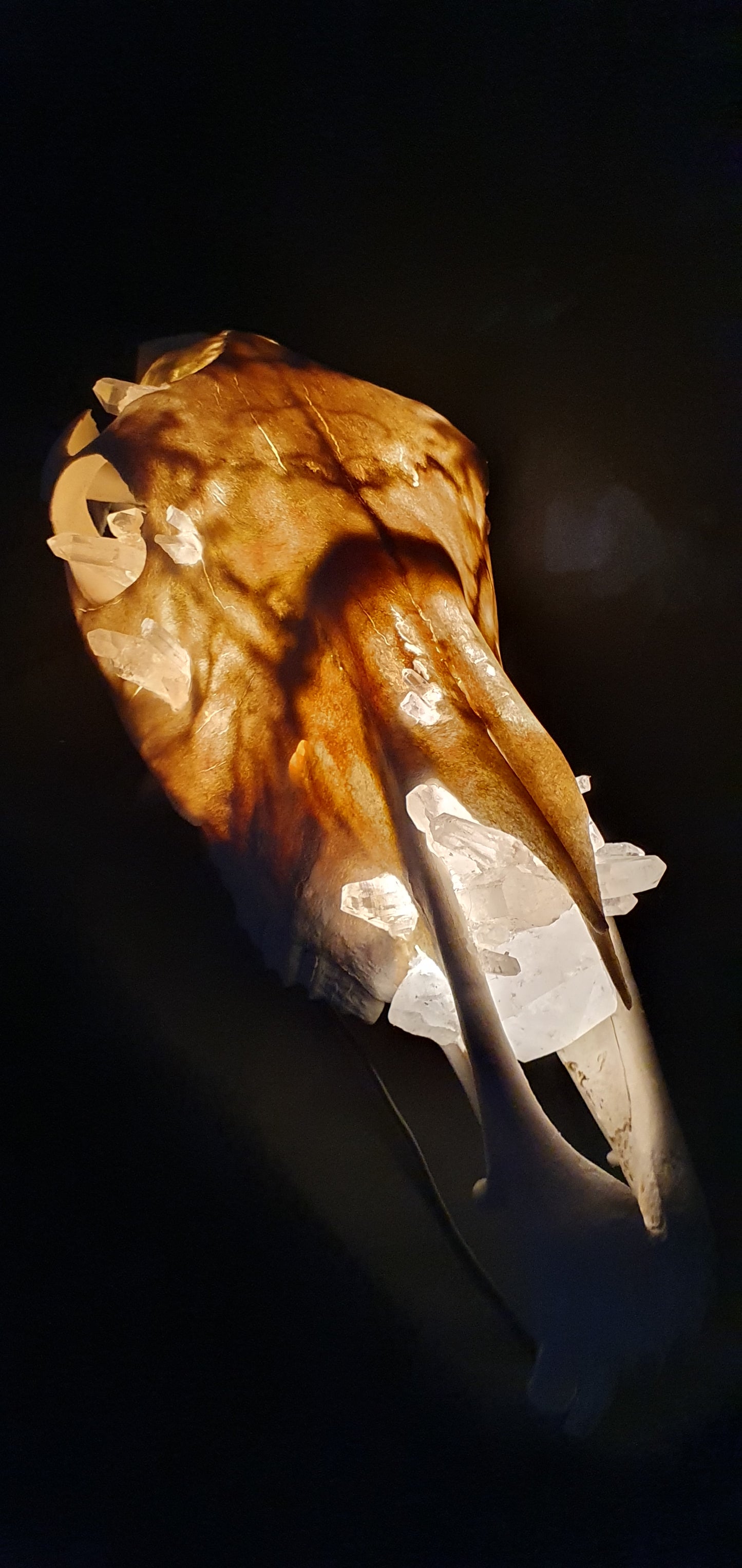 Warm Quartz Horse Lamp