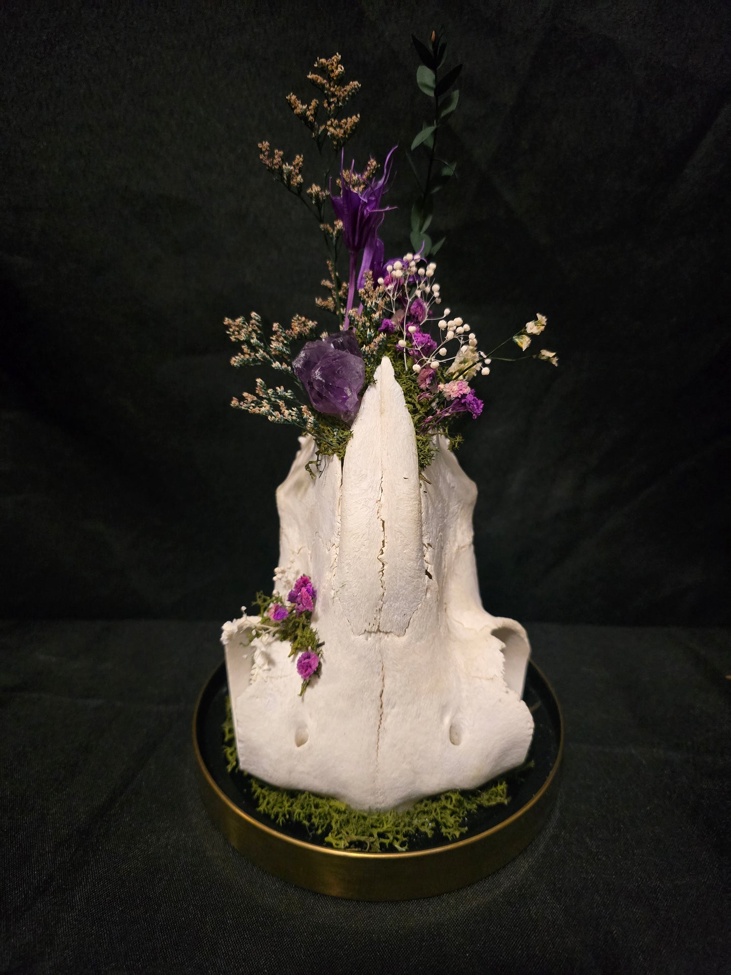 Sheep Amethyst Terrarium
