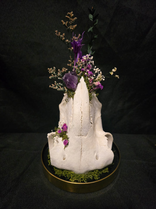 Sheep Amethyst Terrarium