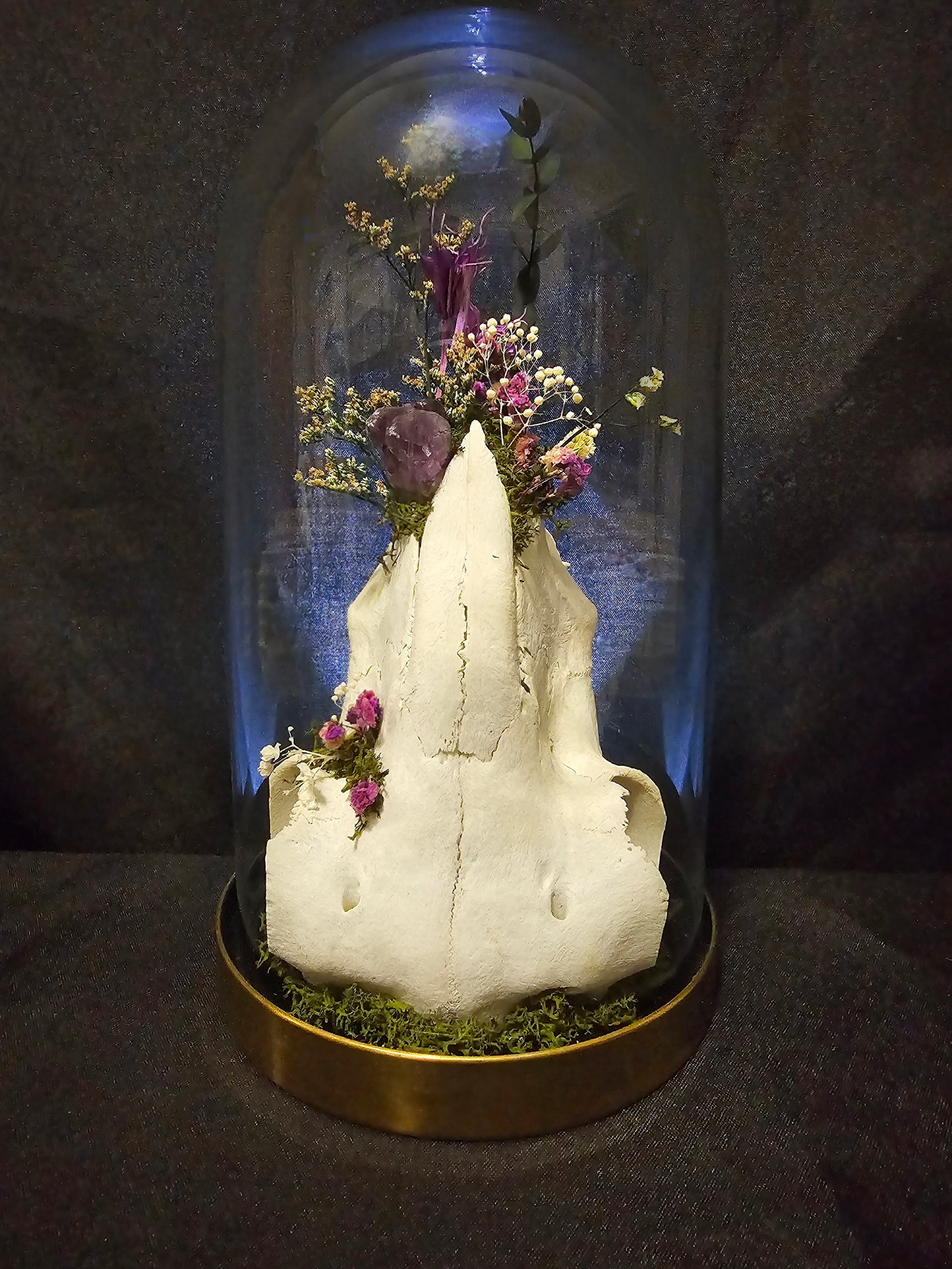 Sheep Amethyst Terrarium