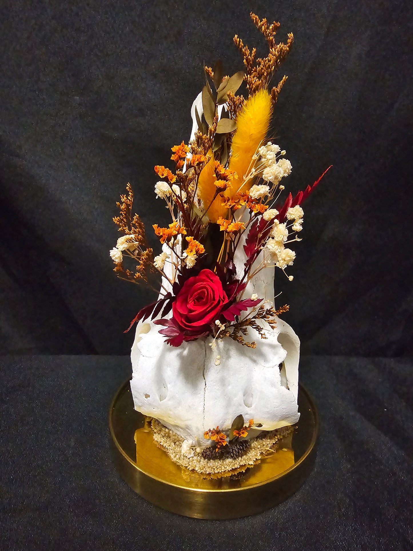 Sheep Autumn Red Terrarium