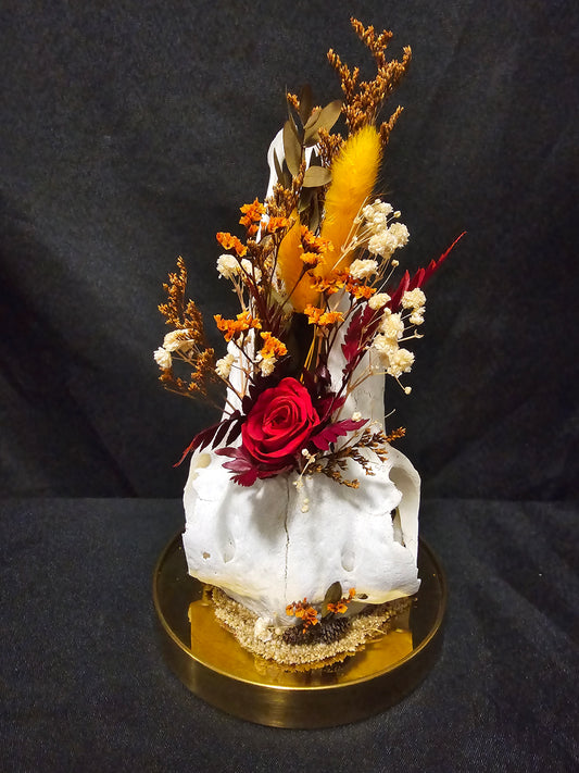 Sheep Autumn Red Terrarium