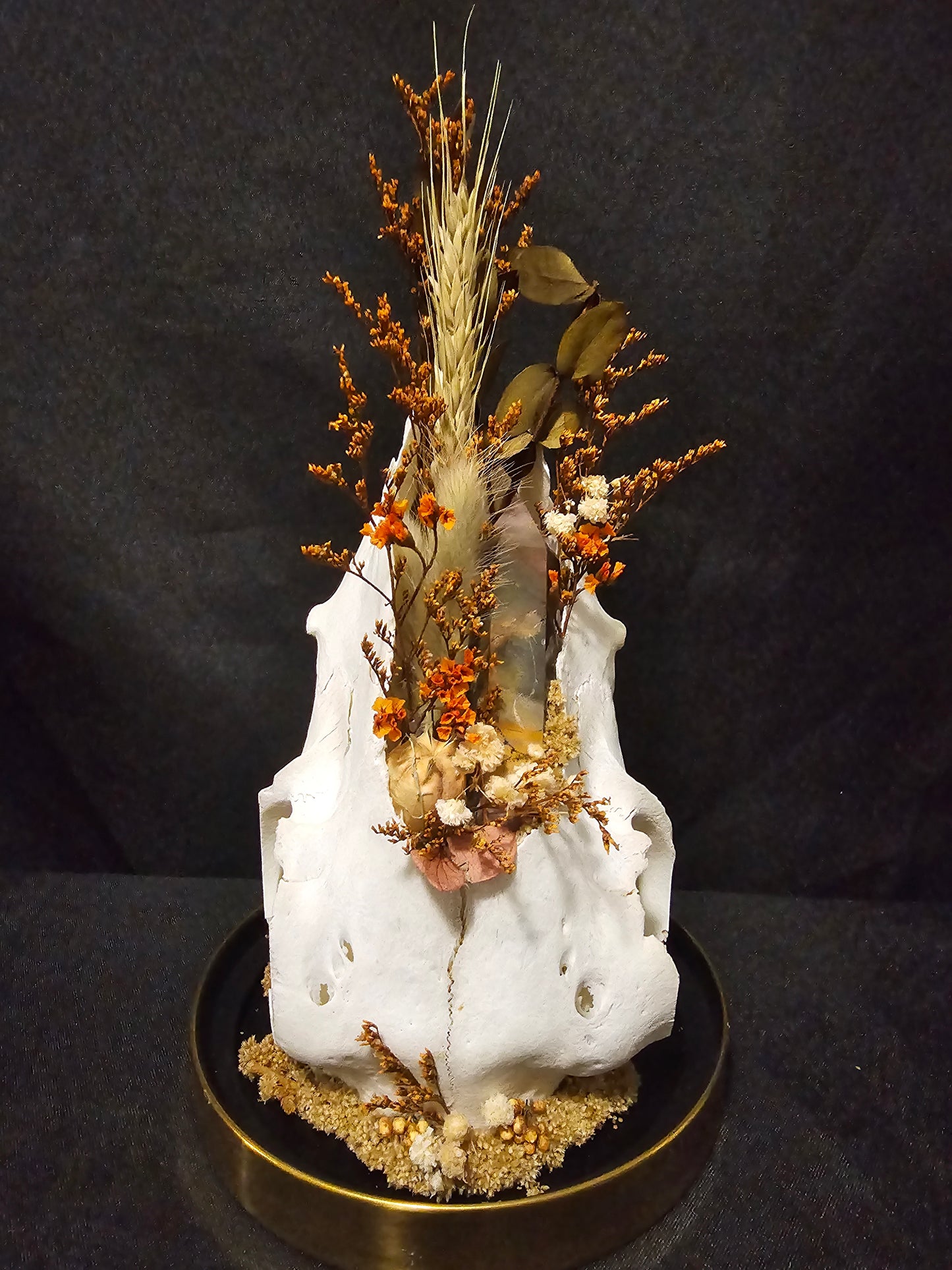 Sheep Mookaite Terrarium