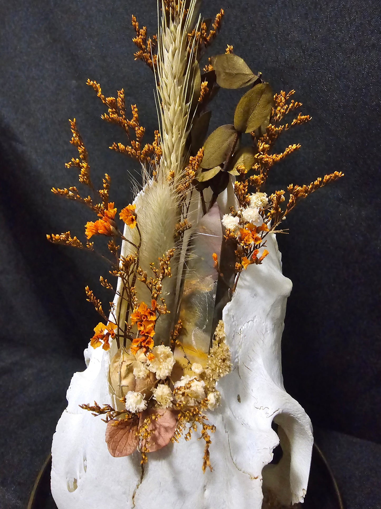 Sheep Mookaite Terrarium