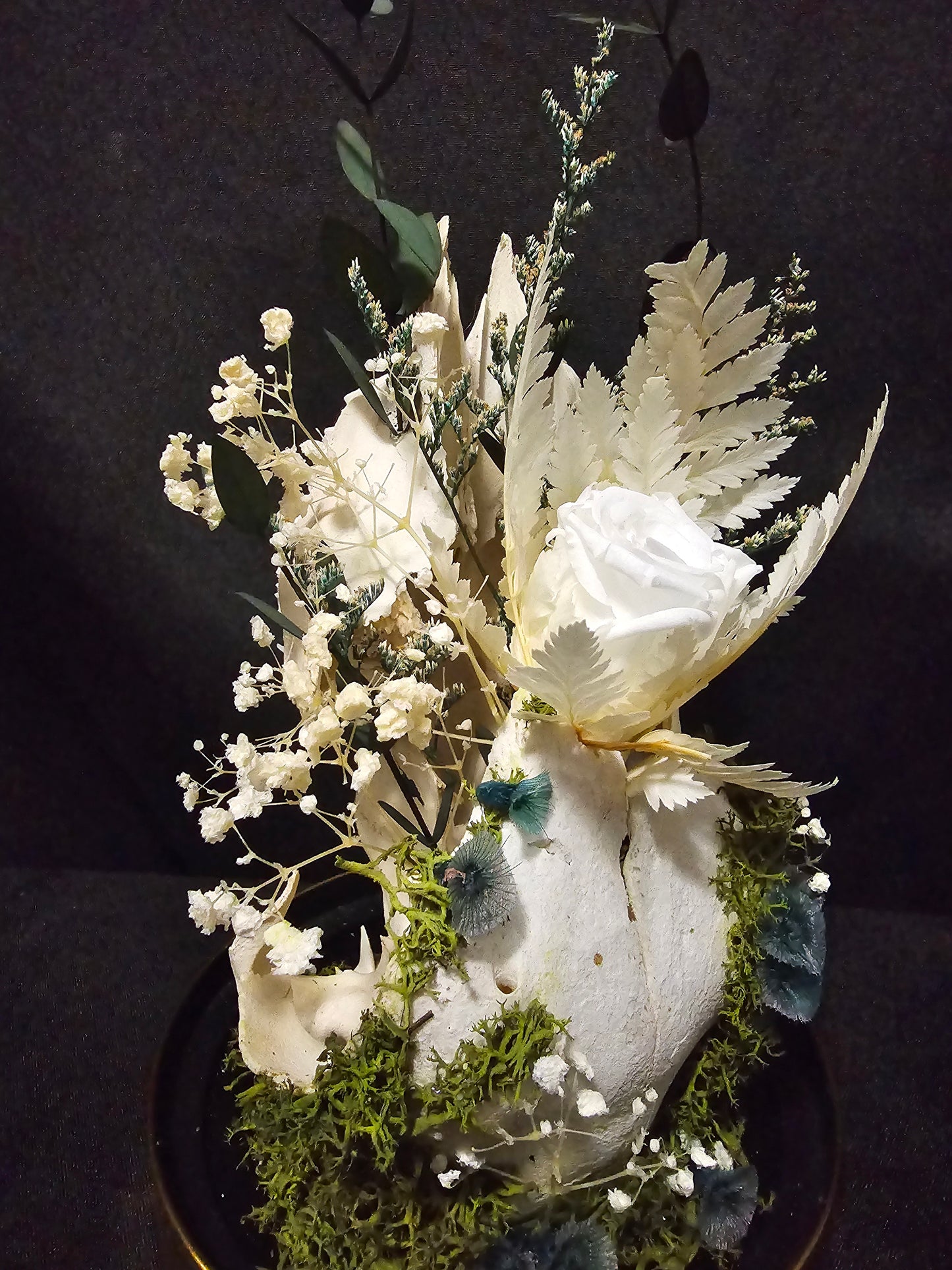 Sheep White Rose Terrarium