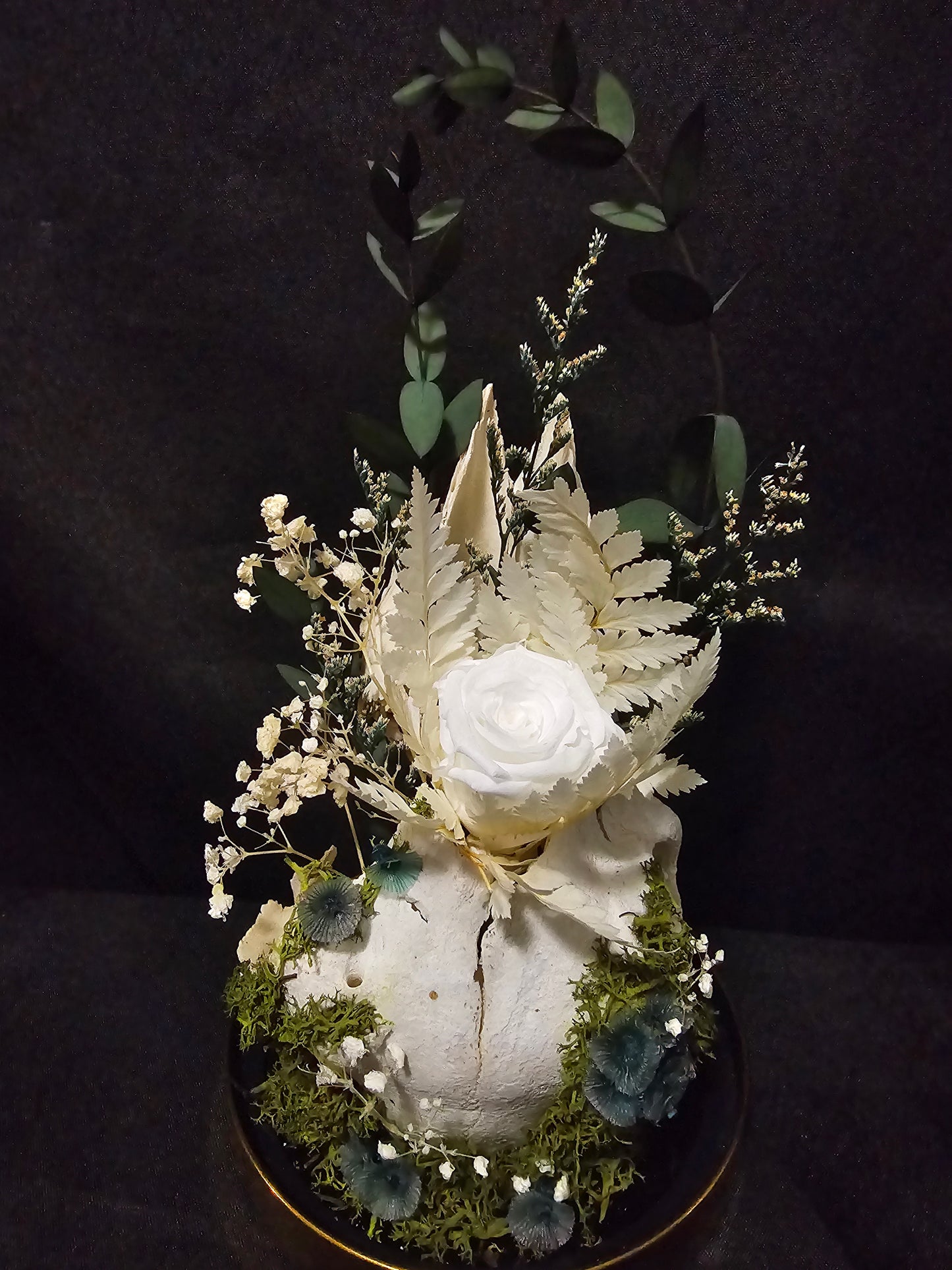 Sheep White Rose Terrarium