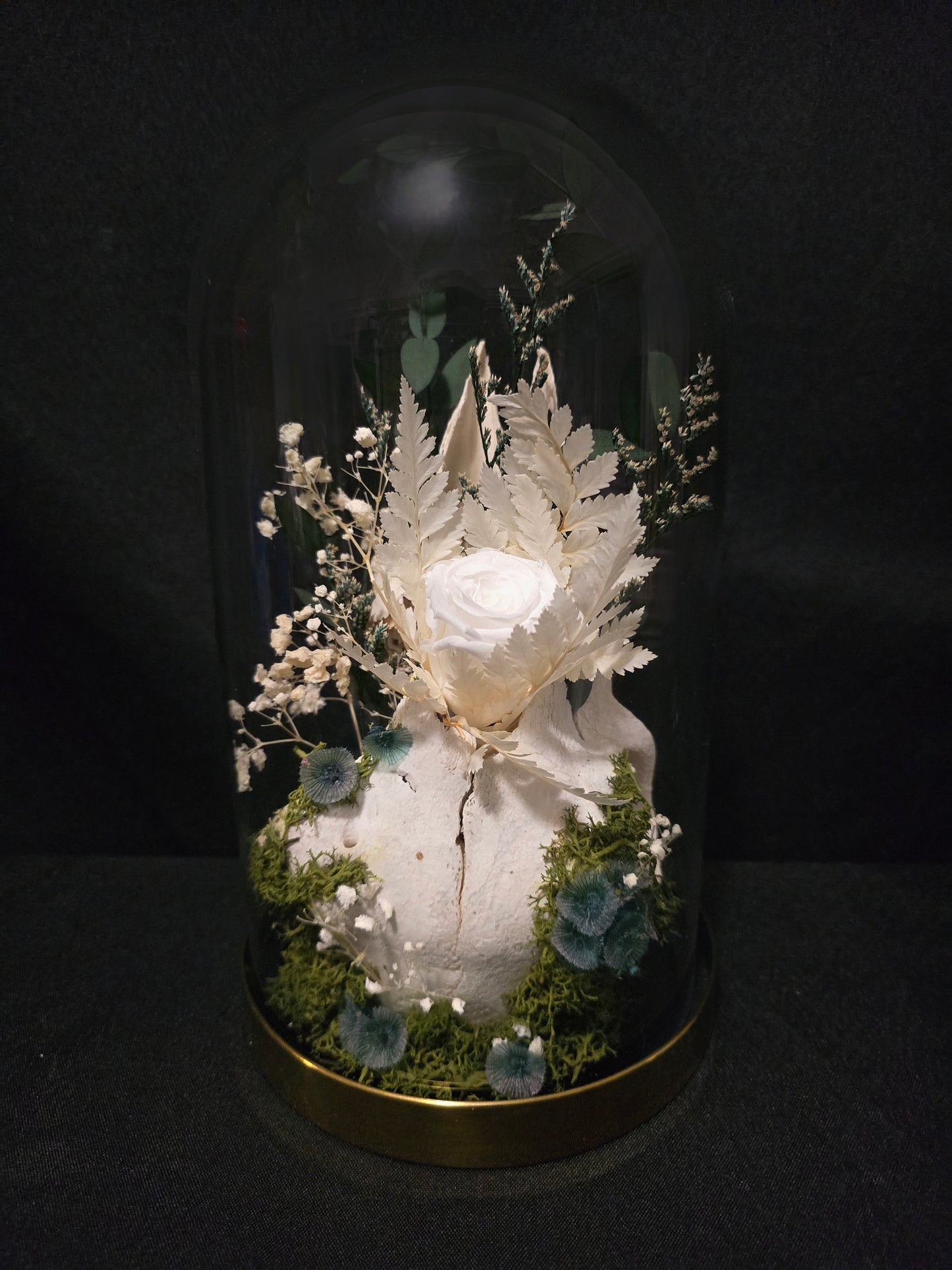 Sheep White Rose Terrarium