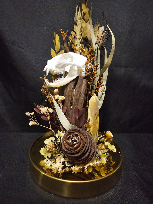 Cat Autumn Mookaite Terrarium