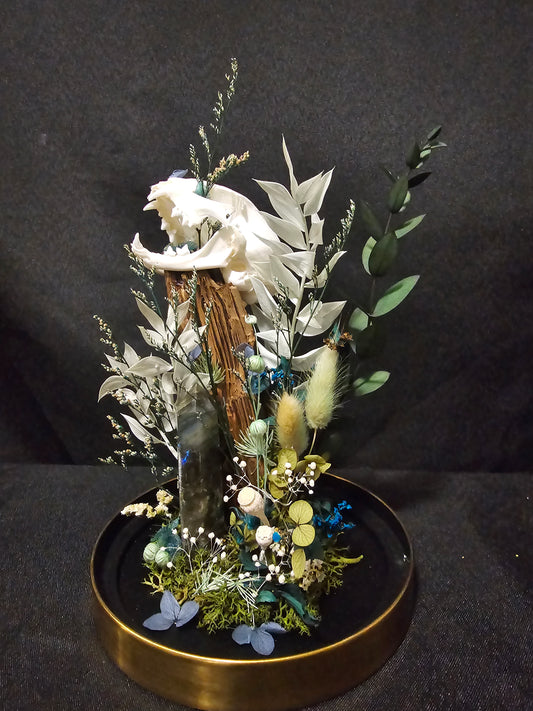 Cat Labradorite Green/Blue Terrarium