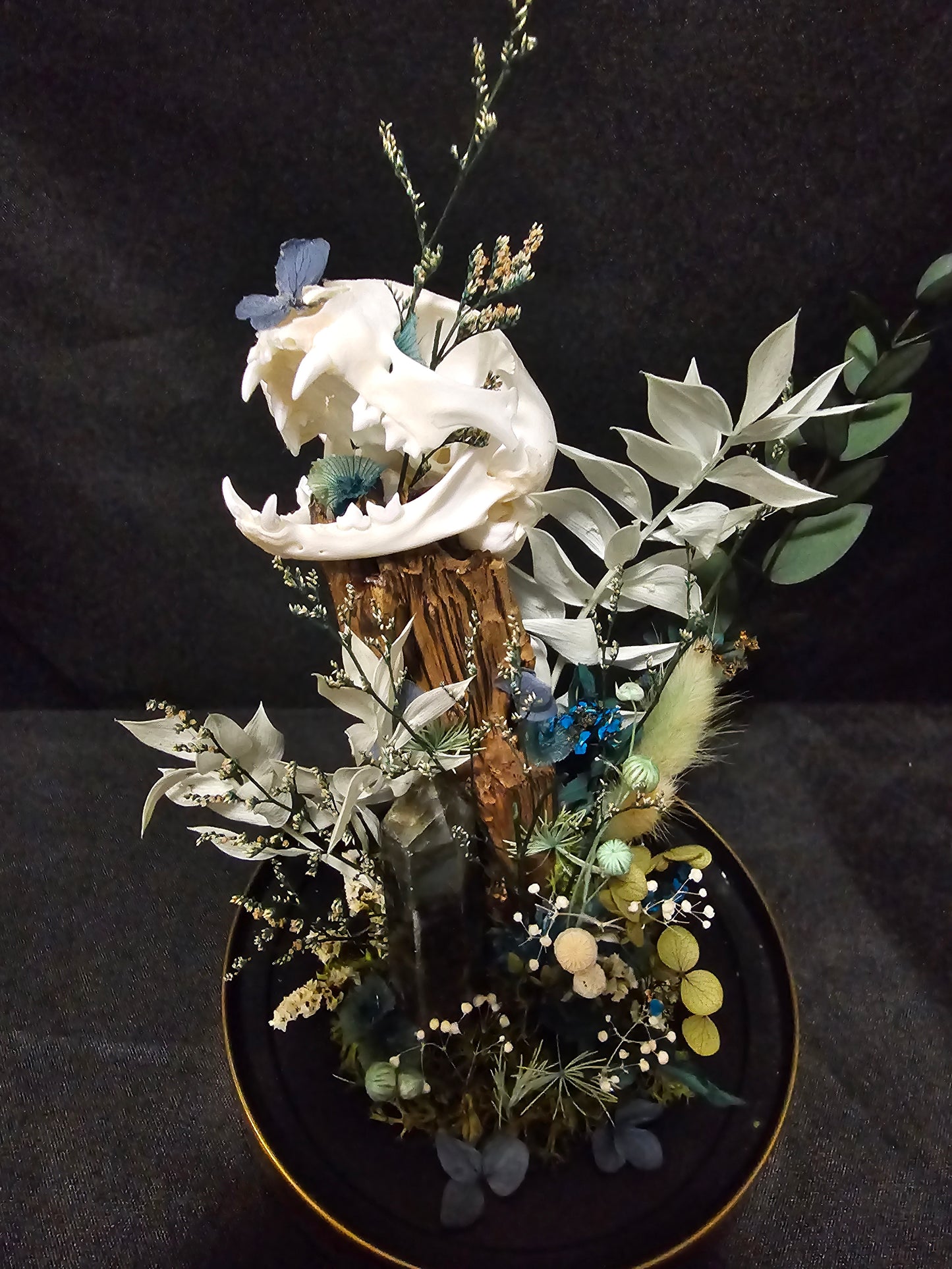 Cat Labradorite Green/Blue Terrarium