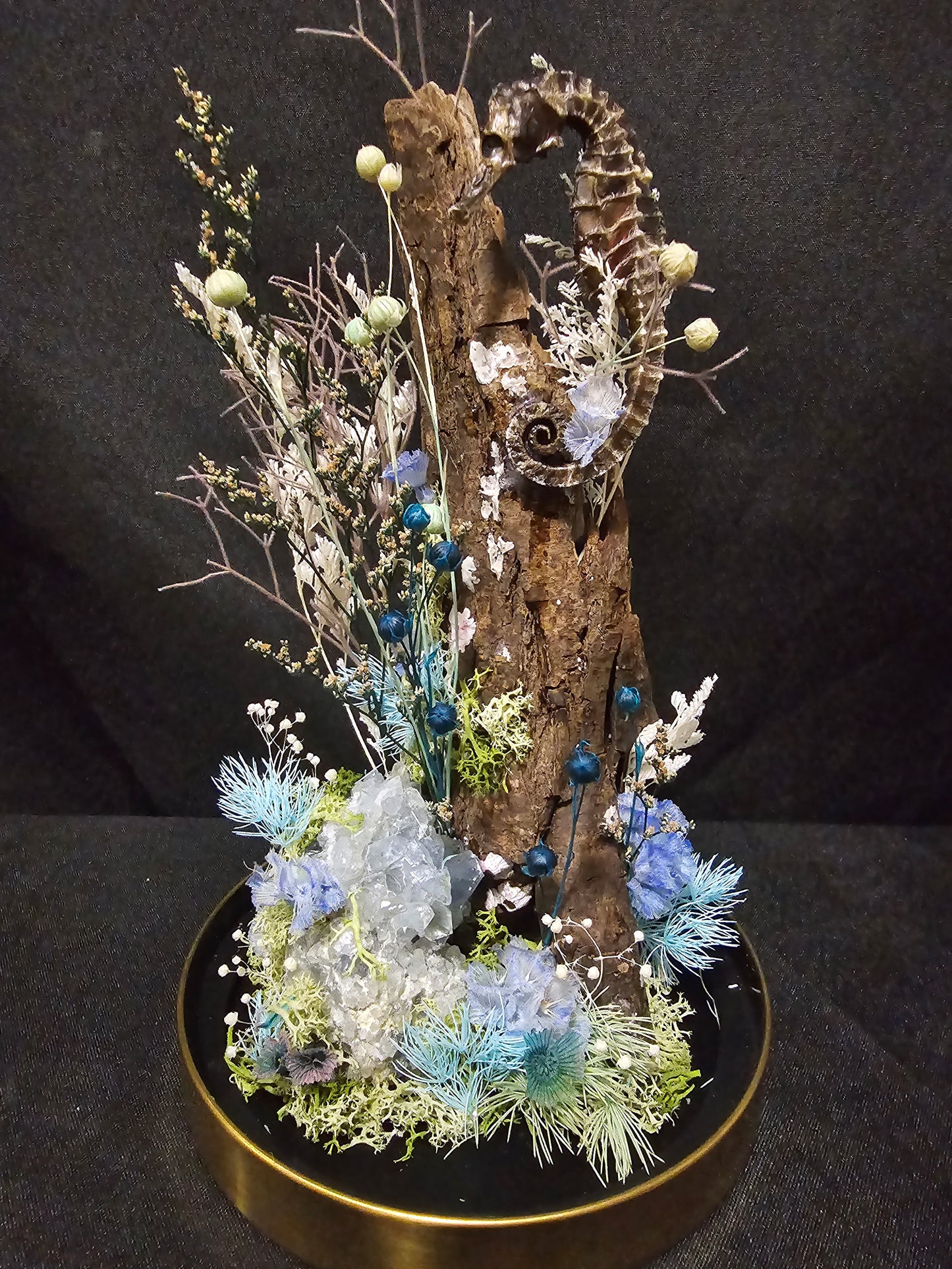 Seahorse Celestine Terrarium