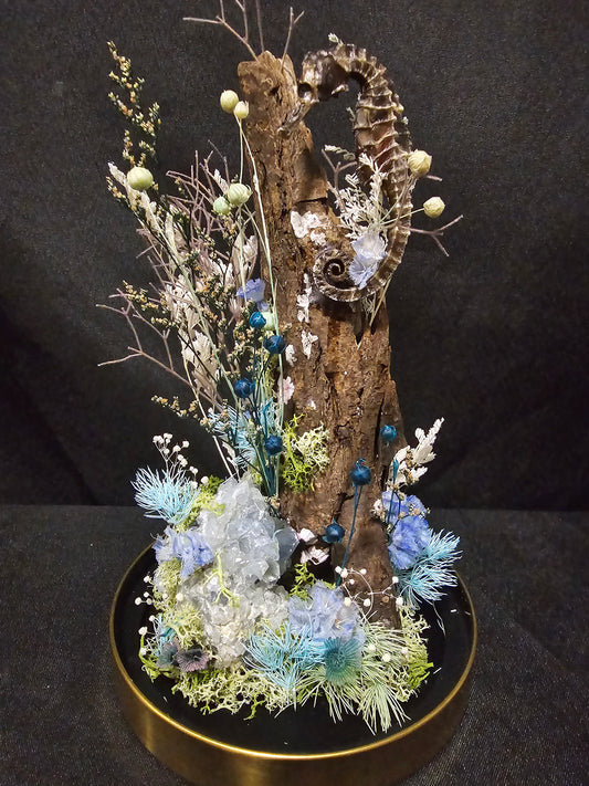 Seahorse Celestine Terrarium