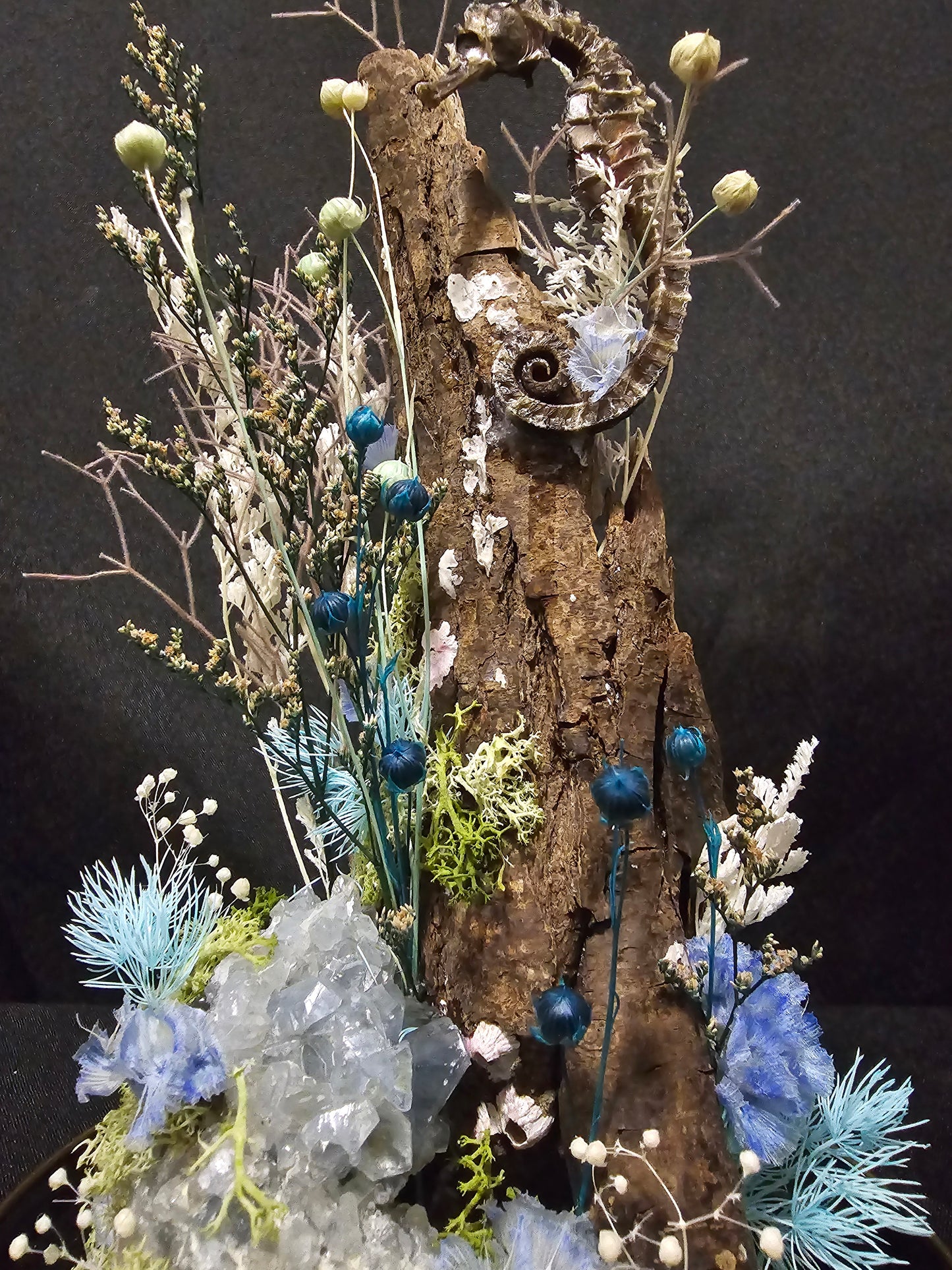 Seahorse Celestine Terrarium