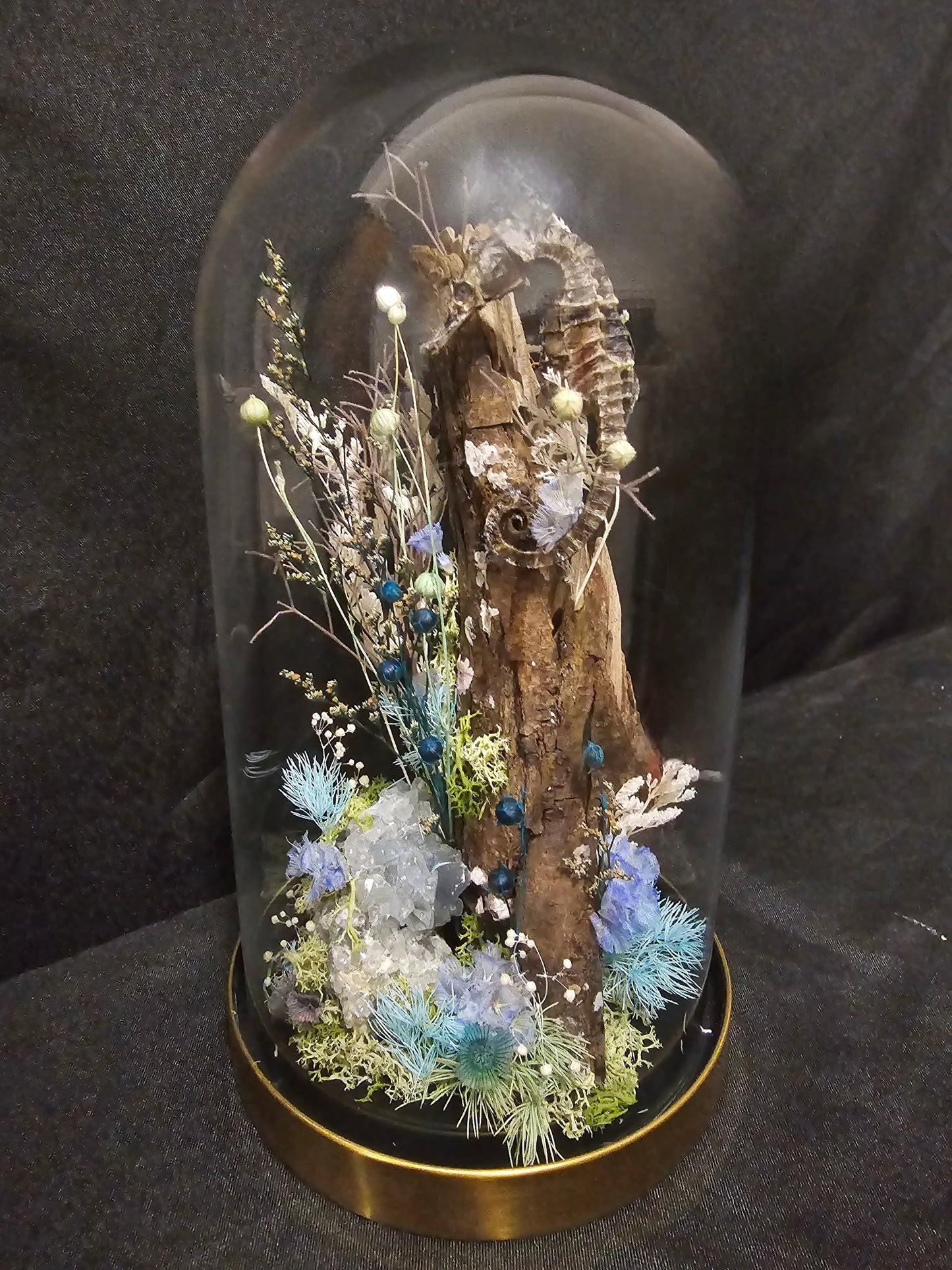 Seahorse Celestine Terrarium