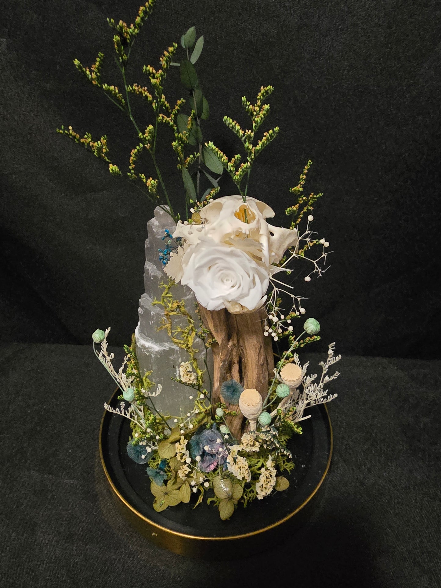 Cat Selenite Terrarium