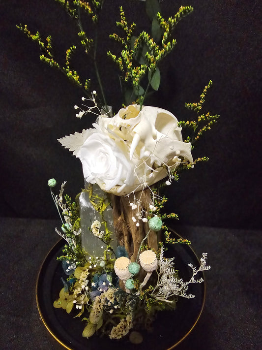 Cat Selenite Terrarium