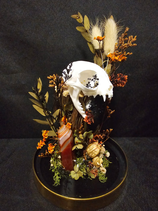 Cat Carnelian Terrarium