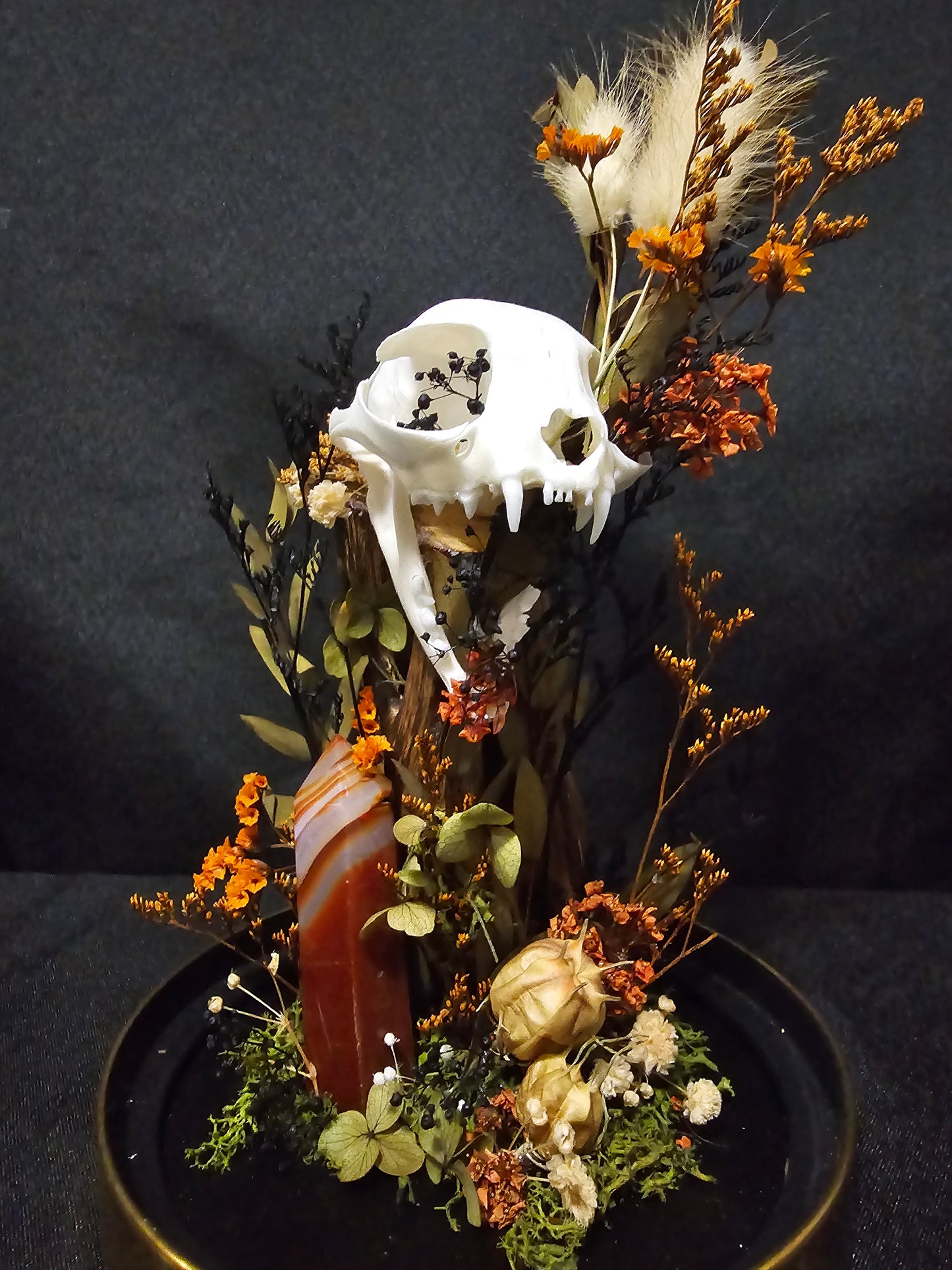 Cat Carnelian Terrarium