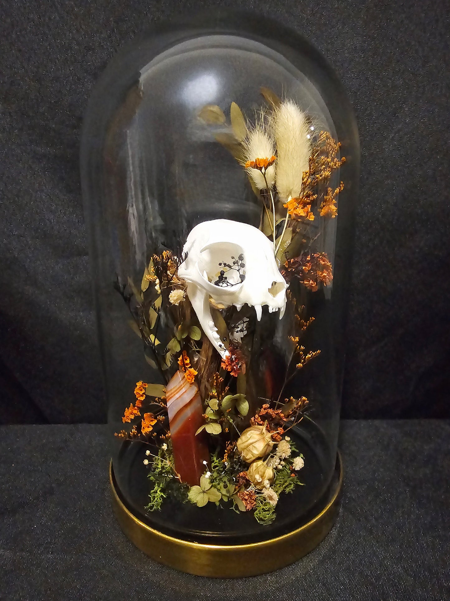 Cat Carnelian Terrarium