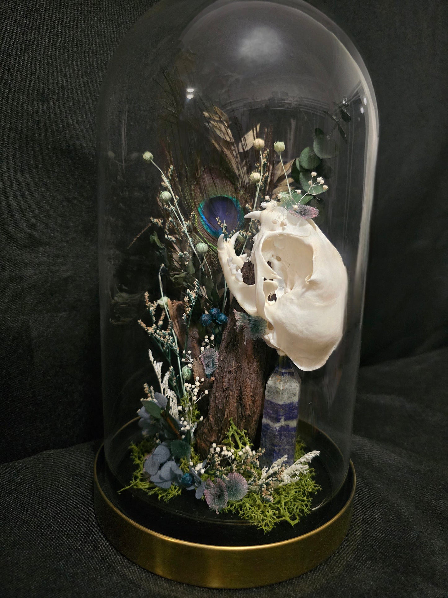 Cat Sodalite Terrarium