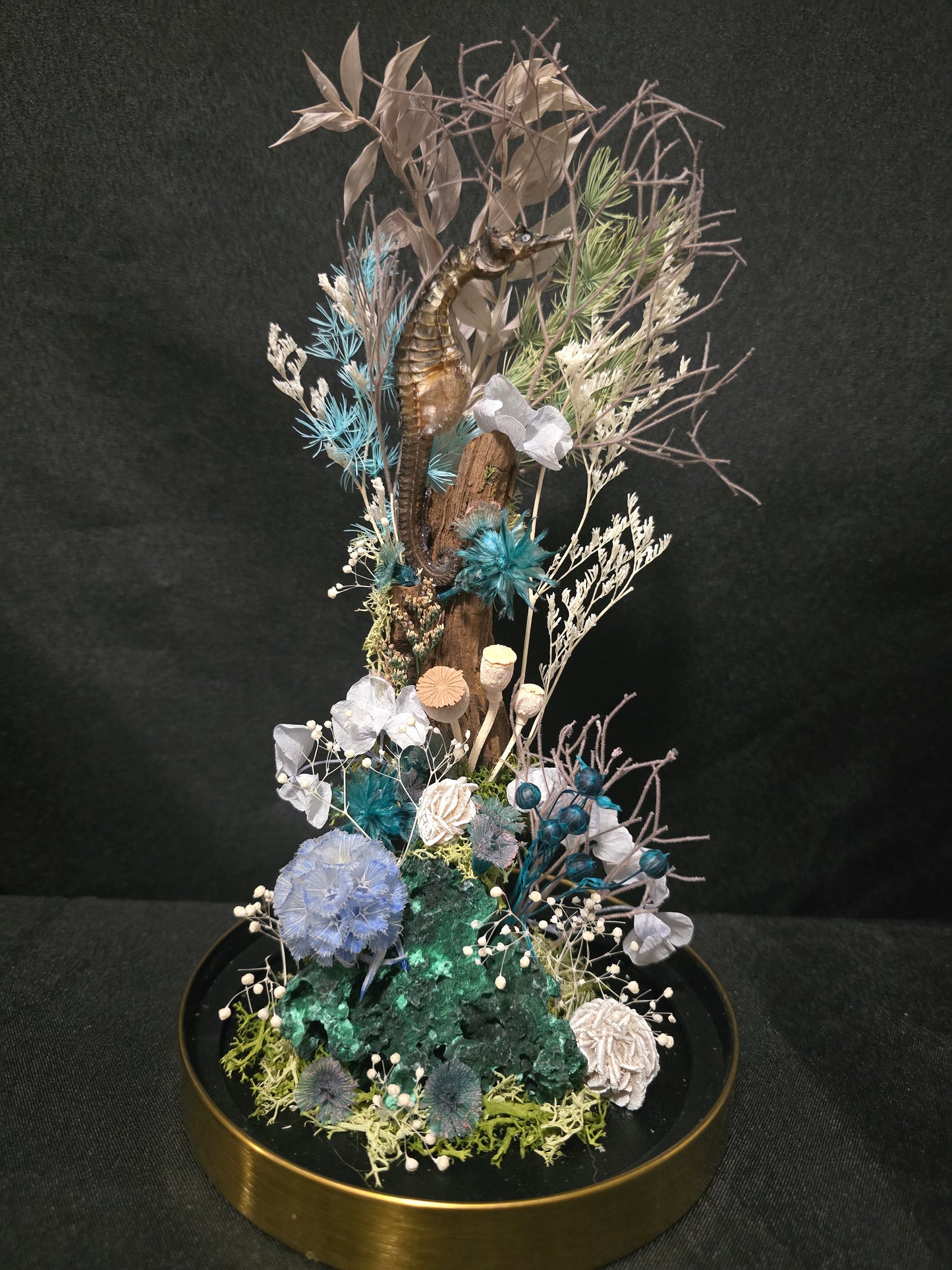 Seahorse Malachite Terrarium