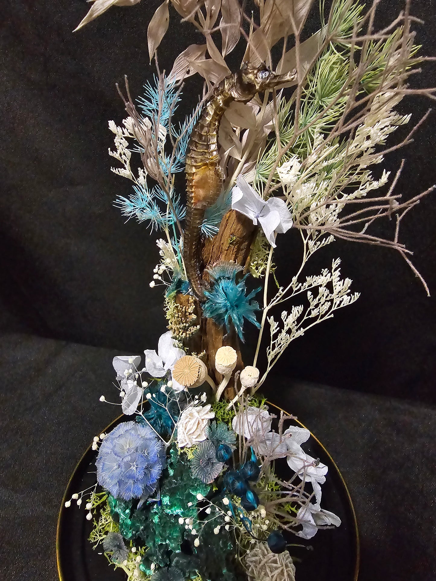 Seahorse Malachite Terrarium