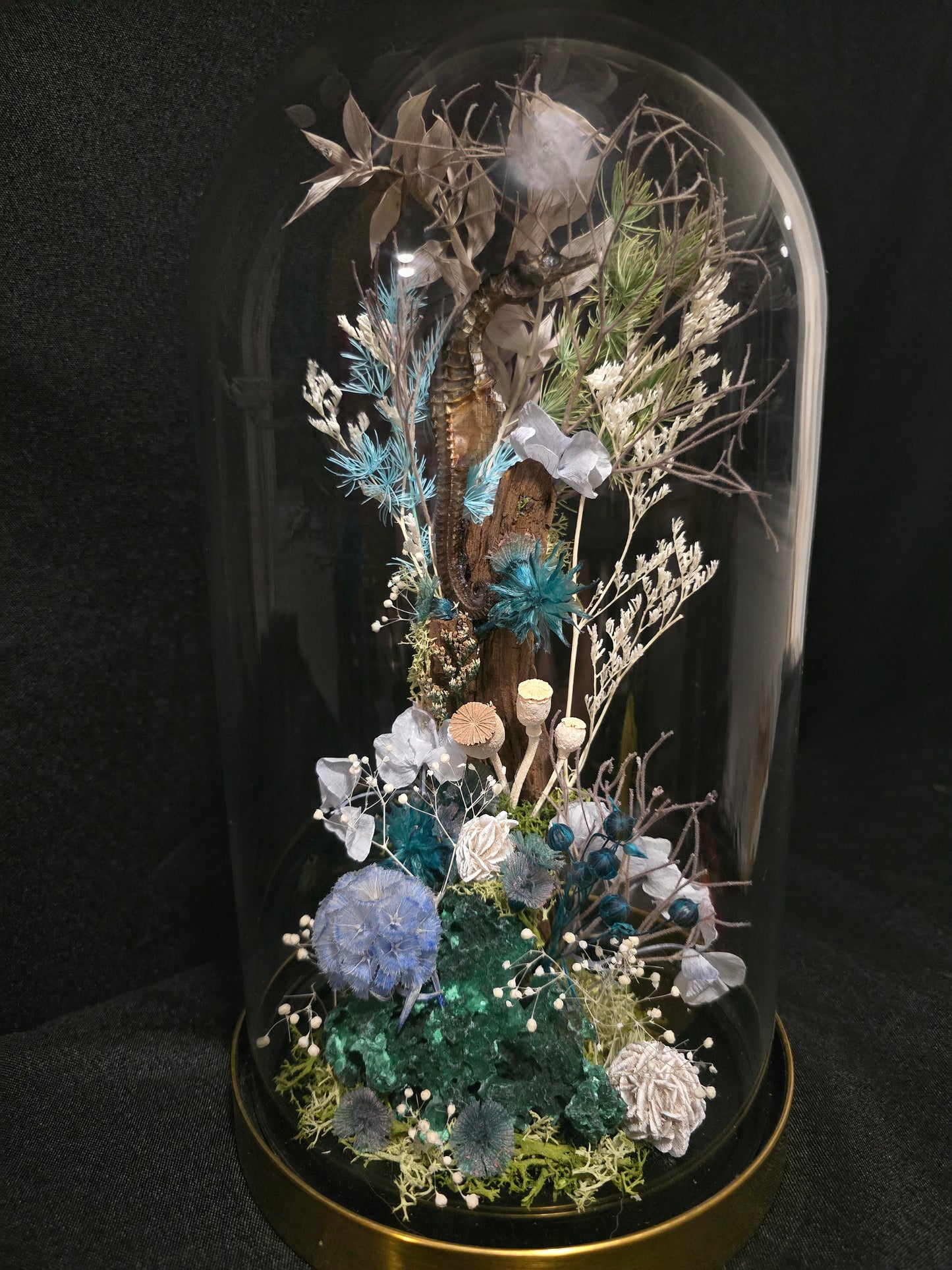 Seahorse Malachite Terrarium