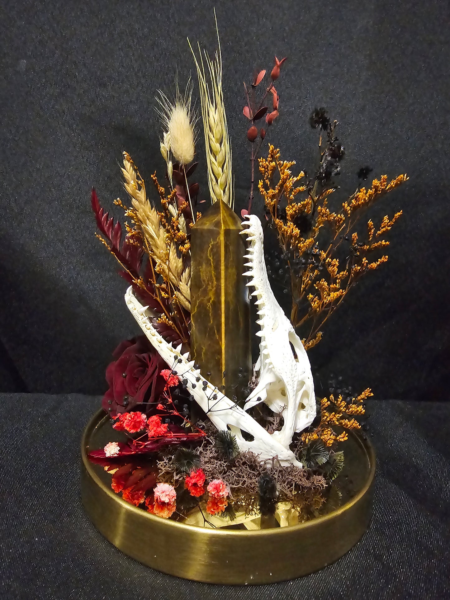 Croc Tigerseye Terrarium