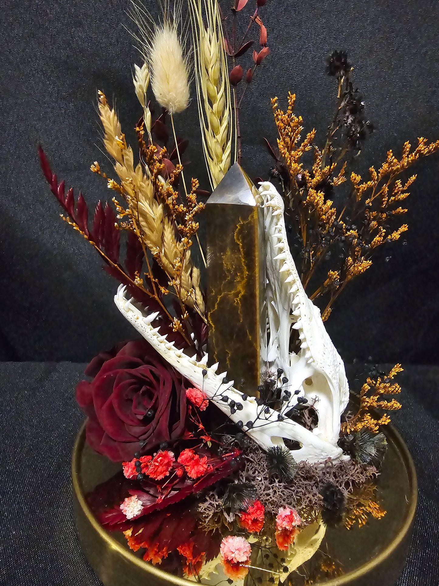 Croc Tigerseye Terrarium