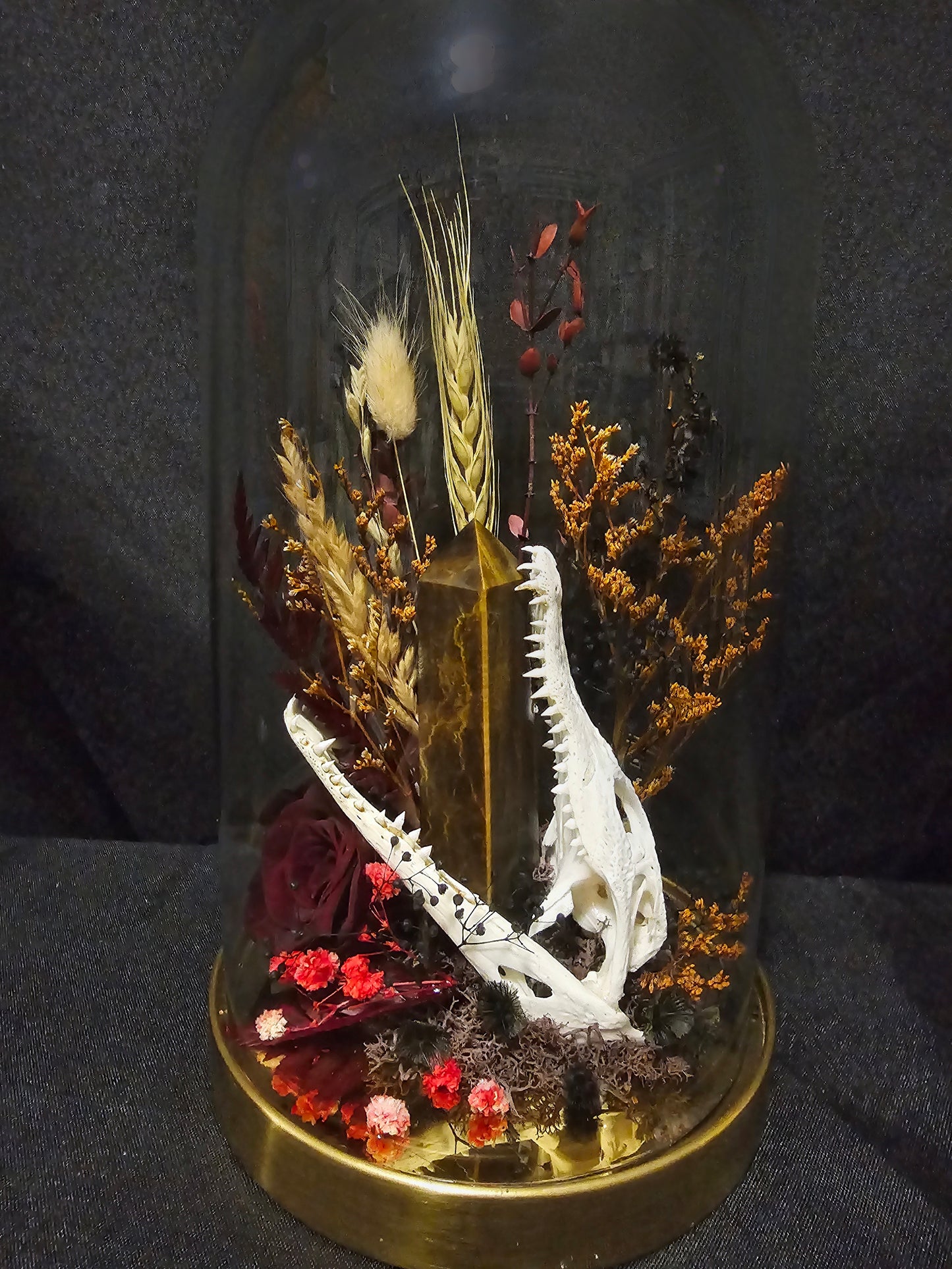 Croc Tigerseye Terrarium