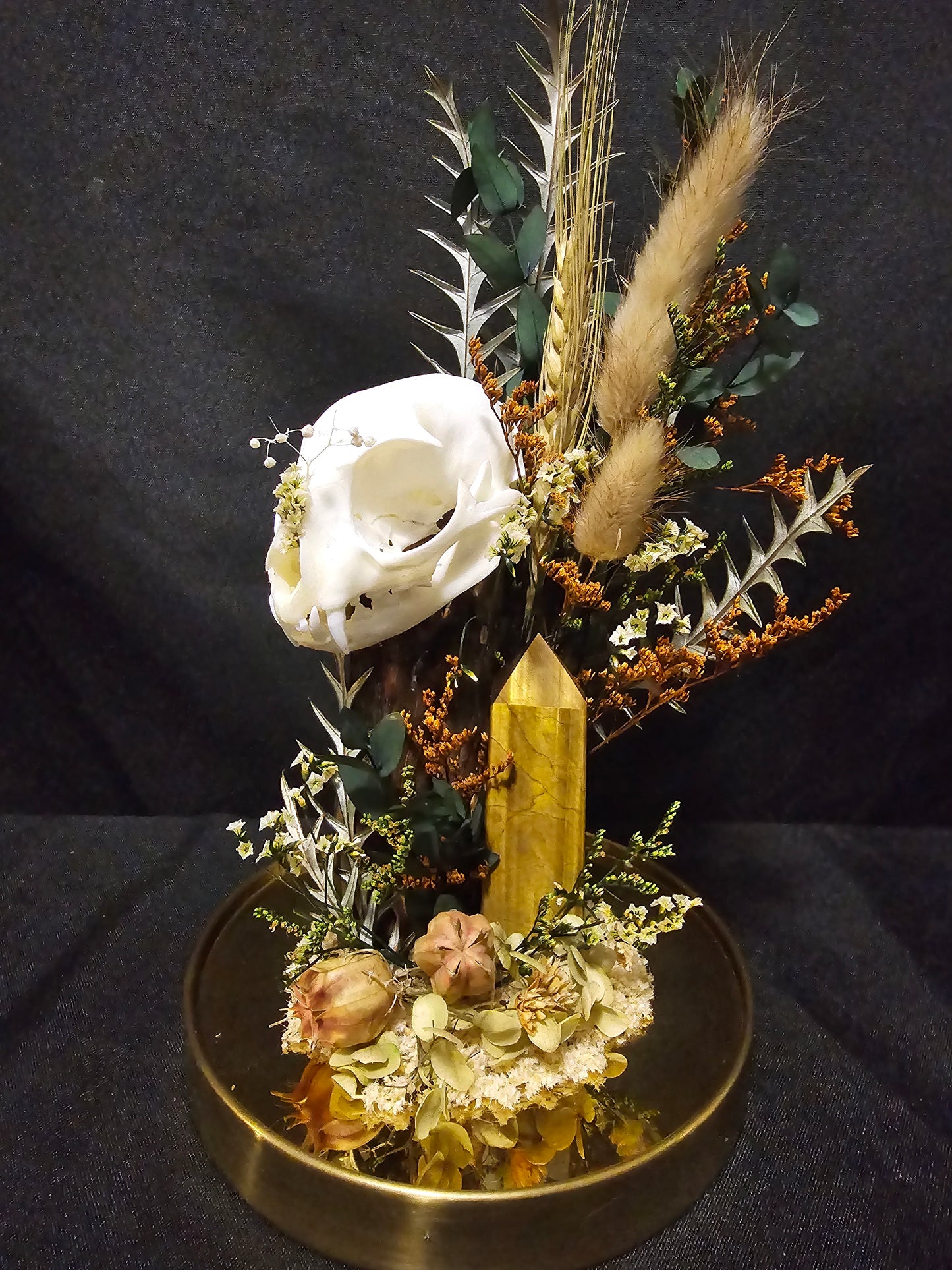 Cat Tigers eye Terrarium