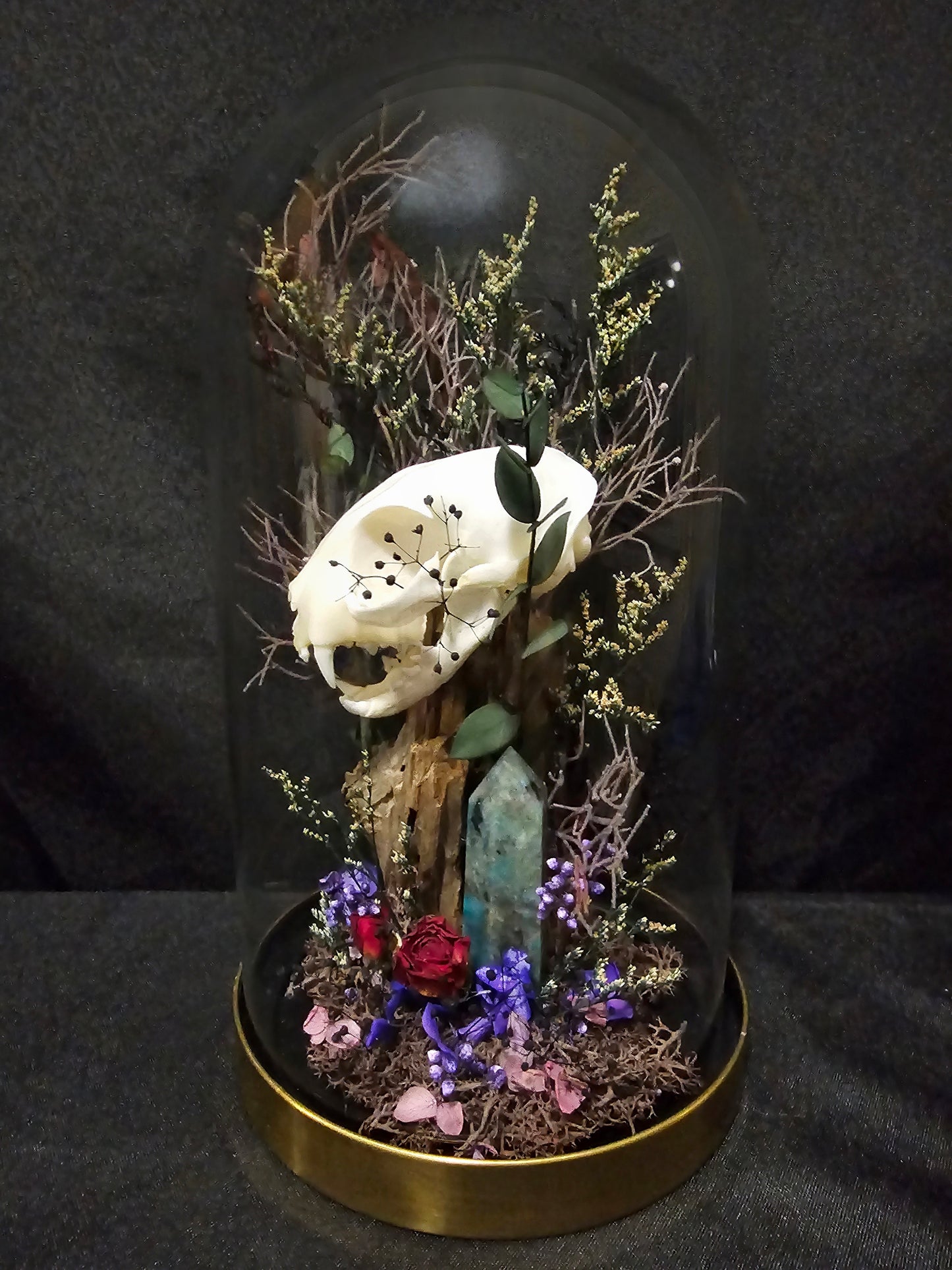 Cat Blue ApatiteTerrarium