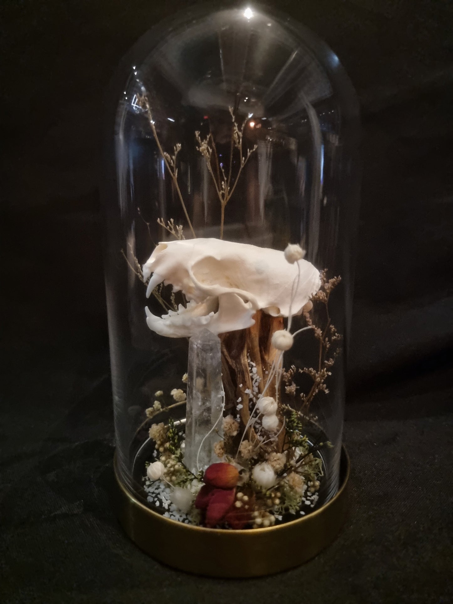 Mink Quartz Rose Terarrium