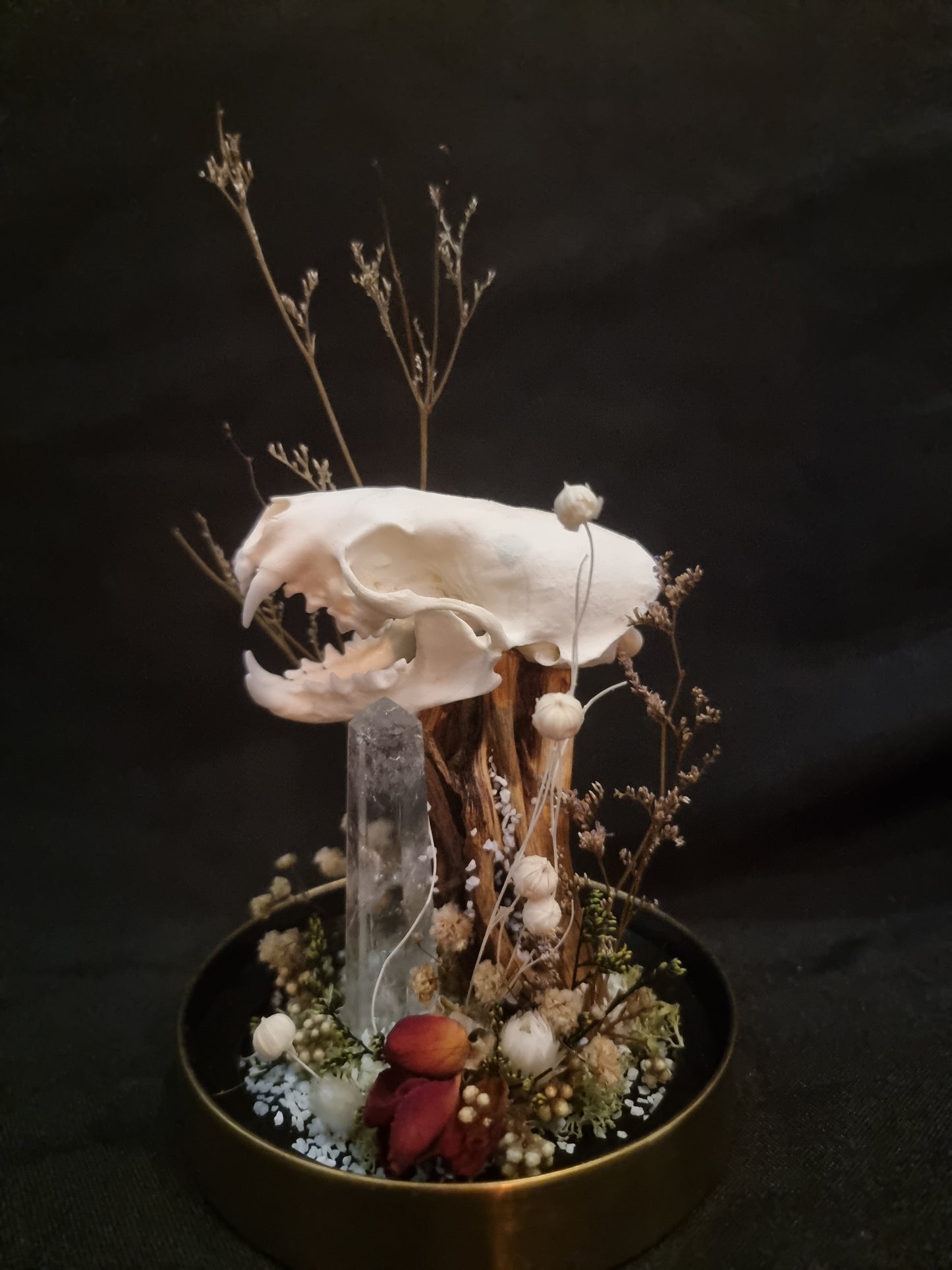 Mink Quartz Rose Terarrium